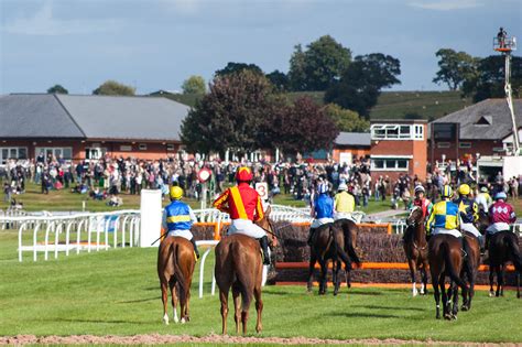 bangor horse racing results|Bangor Races & Racecourse Guide .